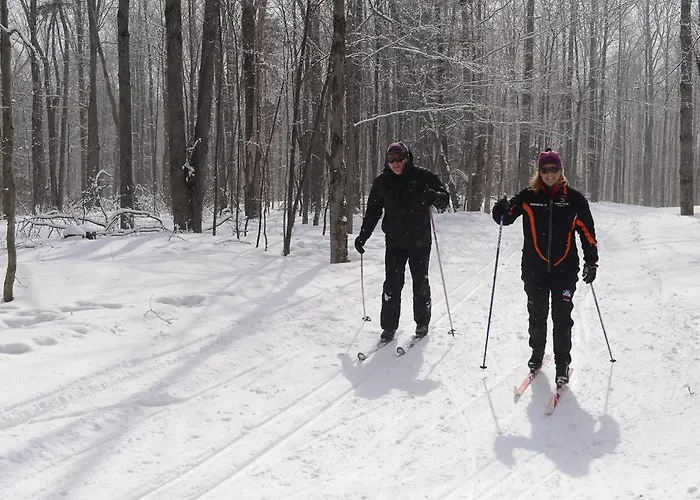 Vantage Point Villas At Stratton Mountain Resort
